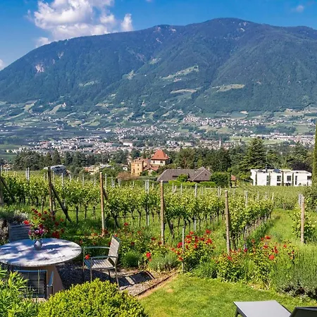 Cuve Merano