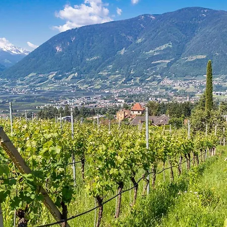 Cuve Merano